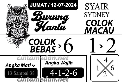 SYAIR SDY VIP